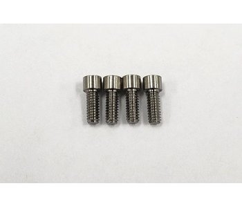 ReveD SPM Titanium M2x5mm Cap Screw (4)