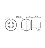 ReveD SPM Titanium Kingpin Ball φ5.9mm / Total Length 10ｍｍ (2pcs) - DISCONTINUED