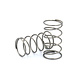 High Traction Rear Spring 30mm Medium Soft 6.0T (2)