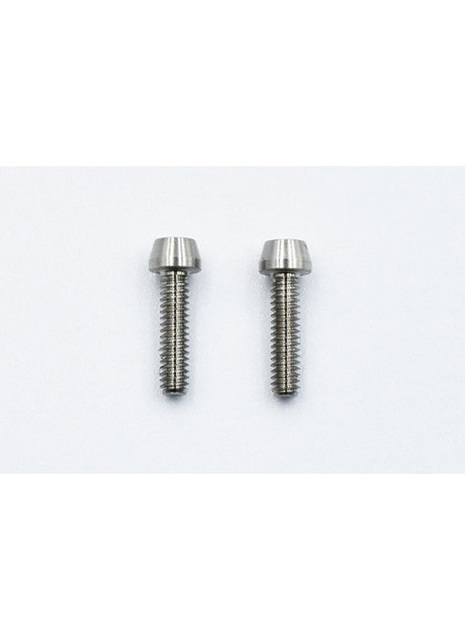 ReveD SPM Titanium M2x8mm Cap Screw (2)