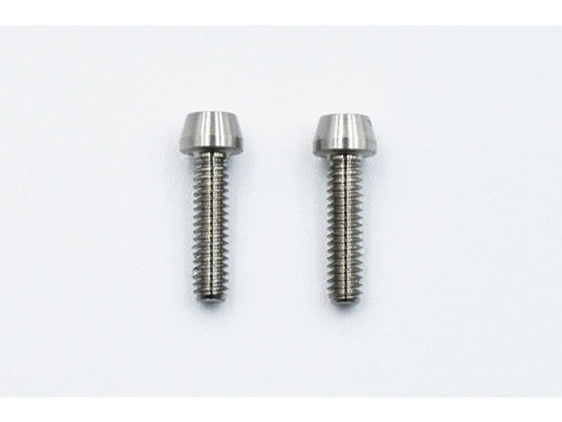 ReveD SPM Titanium M2 x 8mm Cap Screw (2pcs)