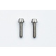 SPM Titanium M2x8mm Cap Screw (2)