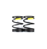 ReveD RDX R-tune Spring Mid Hard (2pcs)