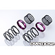 High Performance Twin Spring 1.2-2045 φ1.2, 4.5 coil, 20mm with Helper Spring / Purple (2)