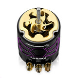 Hobbywing XeRun D10 Drift Motor / 13.5T / Purple