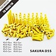 Golden Screw Kit for SAKURA D5S