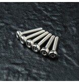 MST Galvanized Cap Screw M2 x 10mm (6pcs)