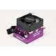 Racing Performer Competition Brushless ESC RPX4 - DRIFT SPEC / Purple
