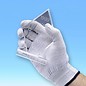 Antistatic gloves ASG-S