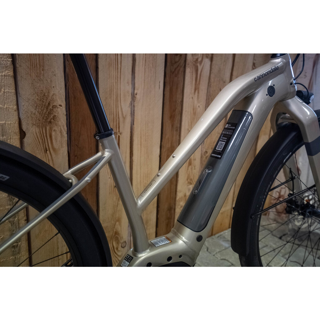 Cannondale Canvas Neo Remixte 2