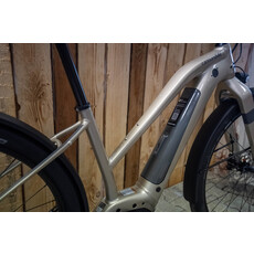 Cannondale Canvas Neo Remixte 2