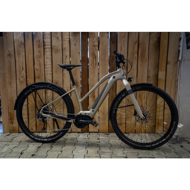 Cannondale Canvas Neo Remixte 2