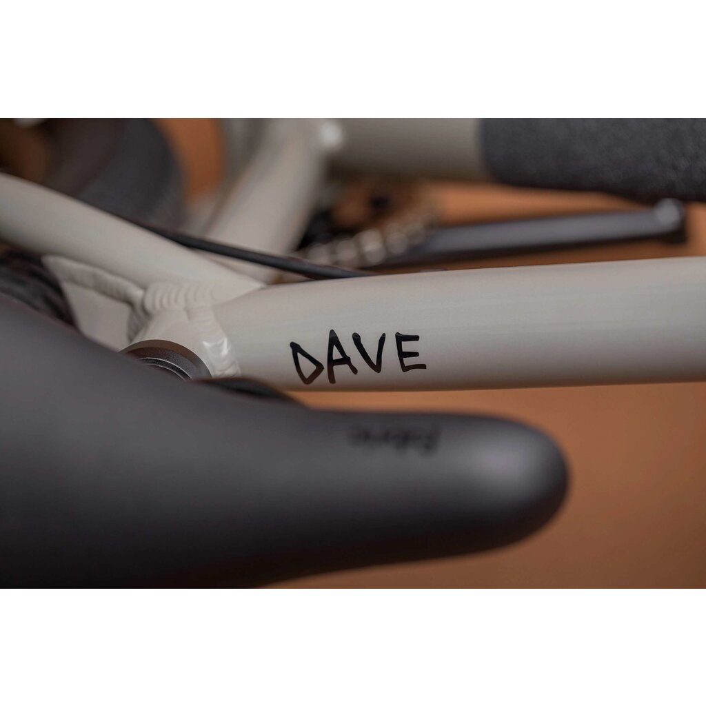 Cannondale Dave