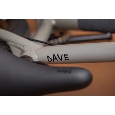 Cannondale Dave