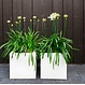 Polyester plantenbak CARREZ 150x50x50cm.