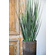 Ficonstone plantenbak Dax 24x60cm.