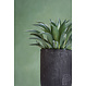 Ficonstone bloempot Cody high Burned black 28x40cm.  op=op