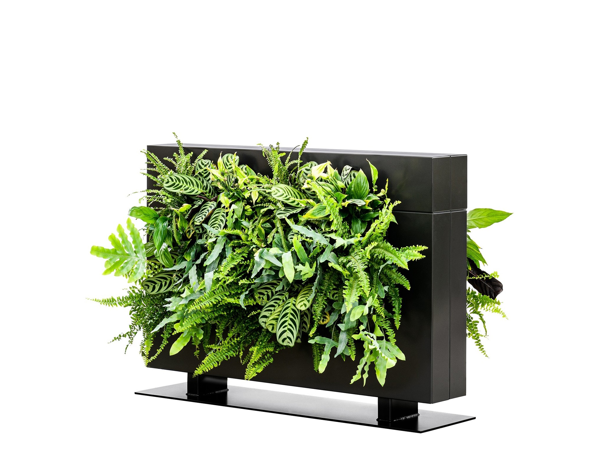 LiveDivider PLUS 1 zwart, de groene roomdivider afbeelding