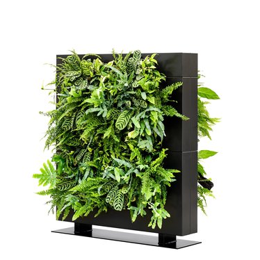 LiveDivider PLUS 2 zwart, de groene roomdivider