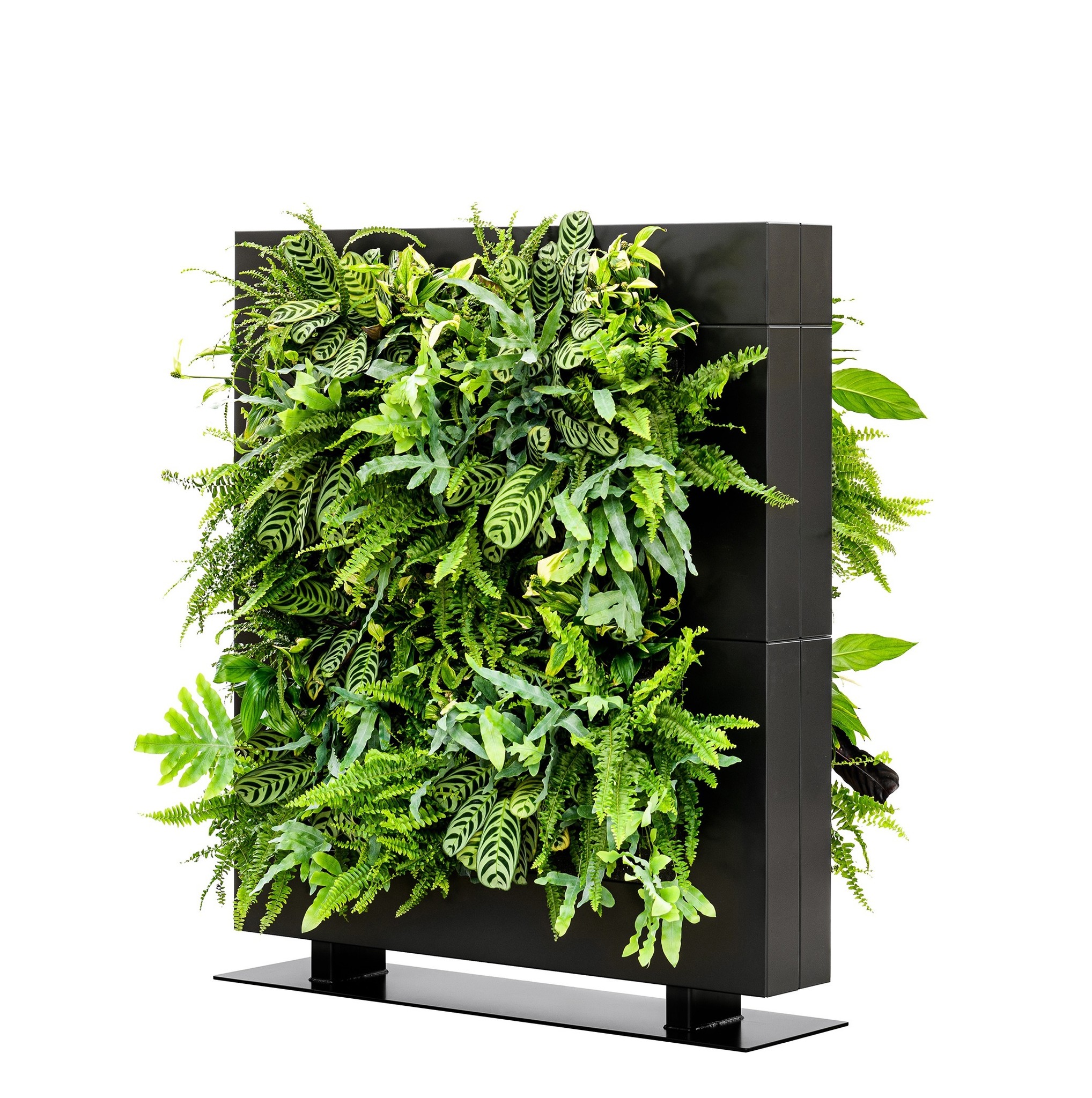 LiveDivider PLUS 2 zwart, de groene roomdivider