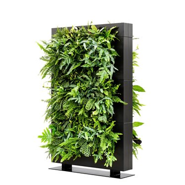 LiveDivider PLUS 3 zwart, de groene roomdivider