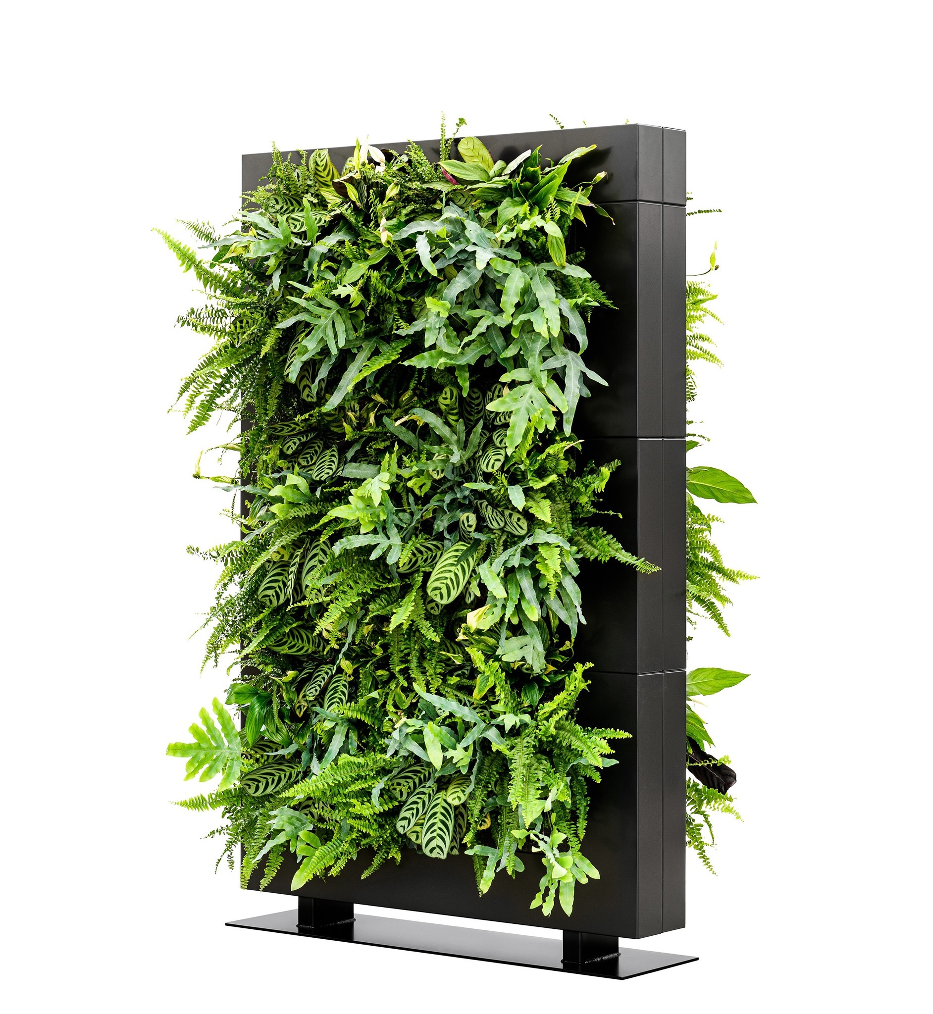 LiveDivider PLUS 3 zwart, de groene roomdivider