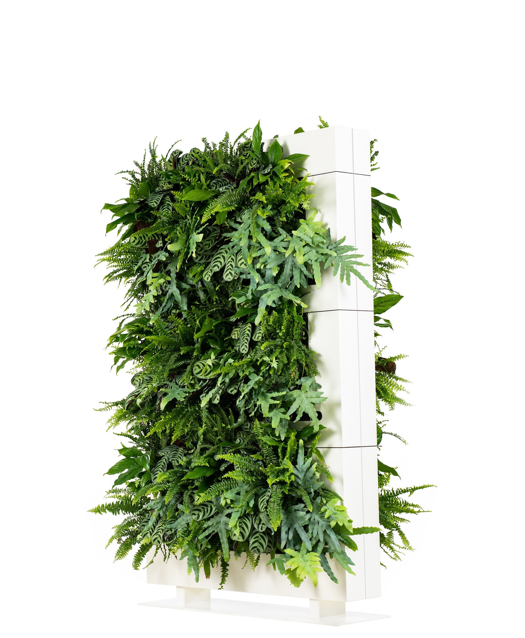 LiveDivider PLUS 3 wit, de groene roomdivider afbeelding