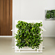 LiveDivider PLUS 2 wit, de groene roomdivider