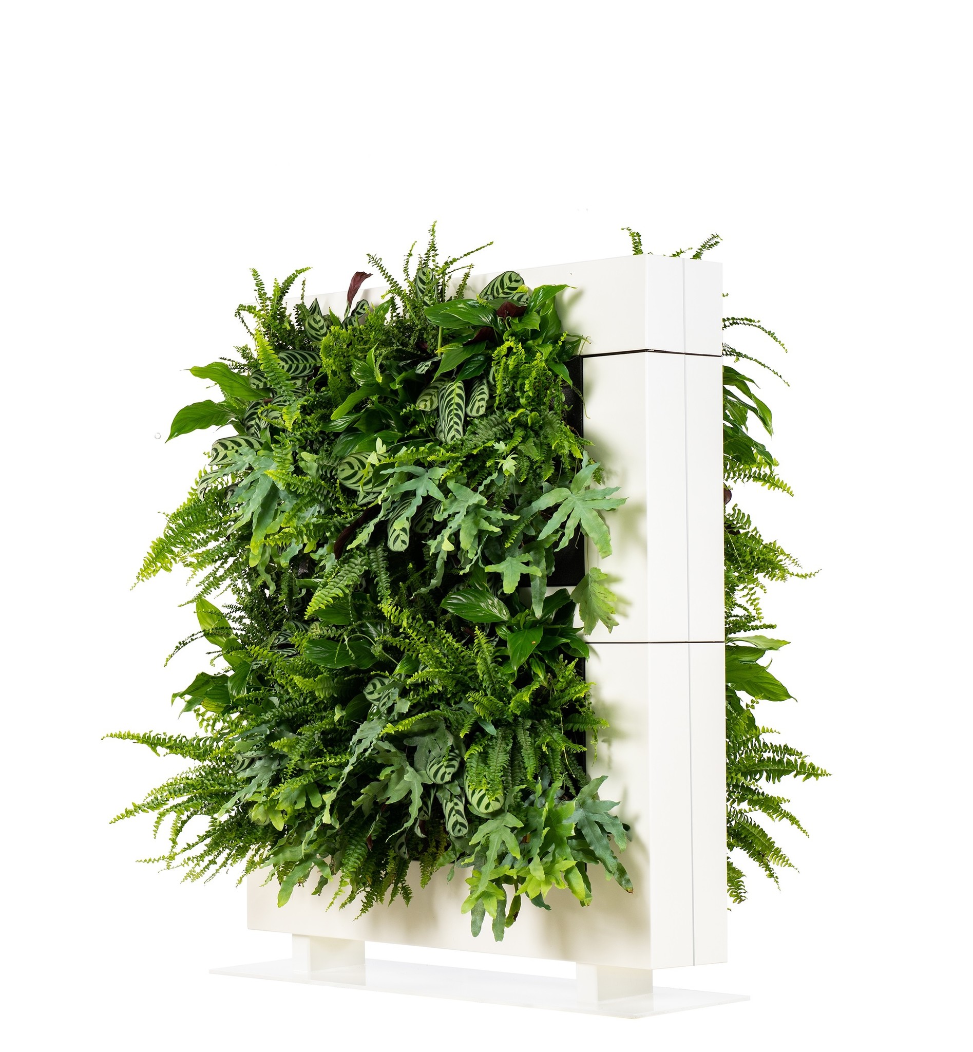 LiveDivider PLUS 2 wit, de groene roomdivider afbeelding