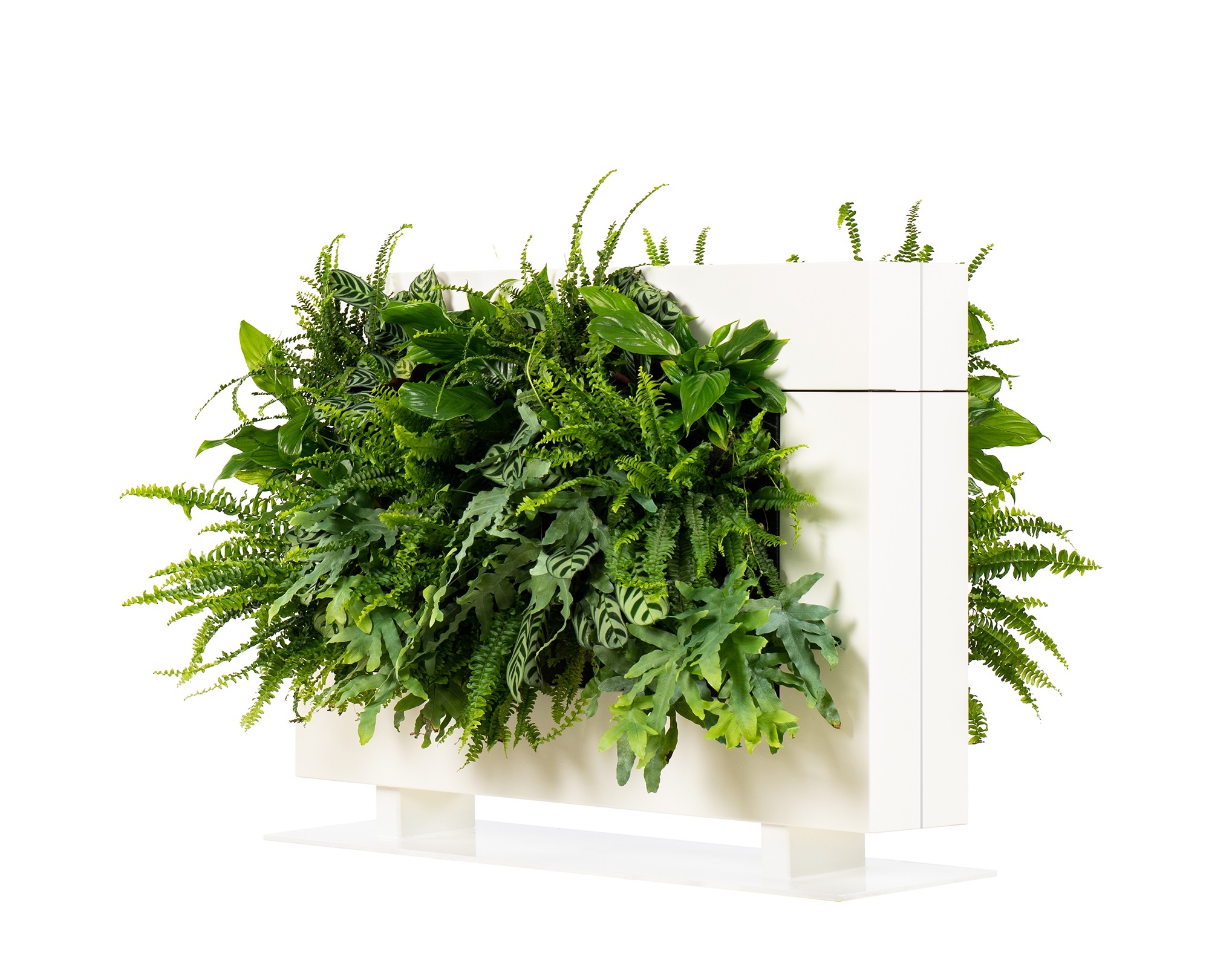 LiveDivider PLUS 1 wit, de groene roomdivider afbeelding