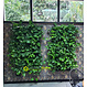 LivePanel PACK 2X3  alles-in-1 groene wandsysteem