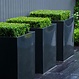 Polyester plantenbak Buxus hoogglans 40x40x100cm.