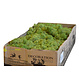 Rendiermos medium groen 2650 gram