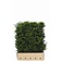 Kant en Klaar Haag Taxus Baccata 100x120cm.