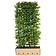 Kant en Klaar Haag Carpinus Betulus 100x200cm.