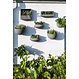 Muur bloempot  Wally Tara XS Grey op=op
