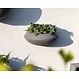 Muur bloempot  Wally Tara XS Black 2e kans