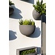 Muur bloempot  Wally Peter M Grey op=op