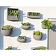 Muur bloempot  Wally Peter M Grey op=op