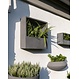 Muur bloempot  Wally Jack XS Grey op=op