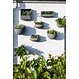 Muur bloempot  Wally Puk M Black