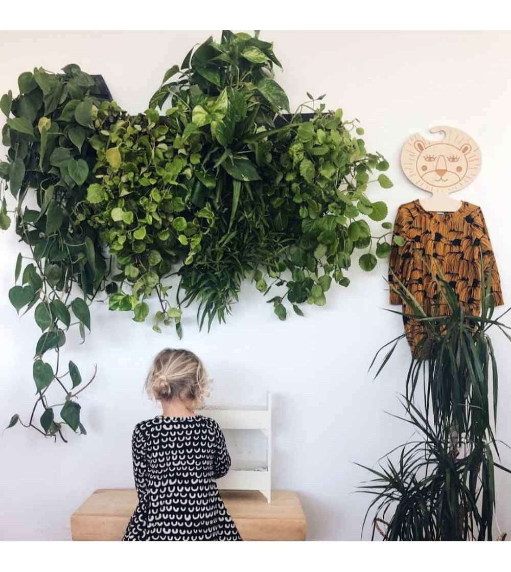 opleiding onhandig Korting CitySens muur plantenbak Madrid set van 3 - Compleetgroen