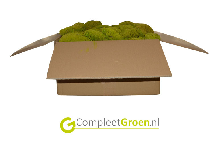 Bolmos spring groen 0,2m2 afbeelding