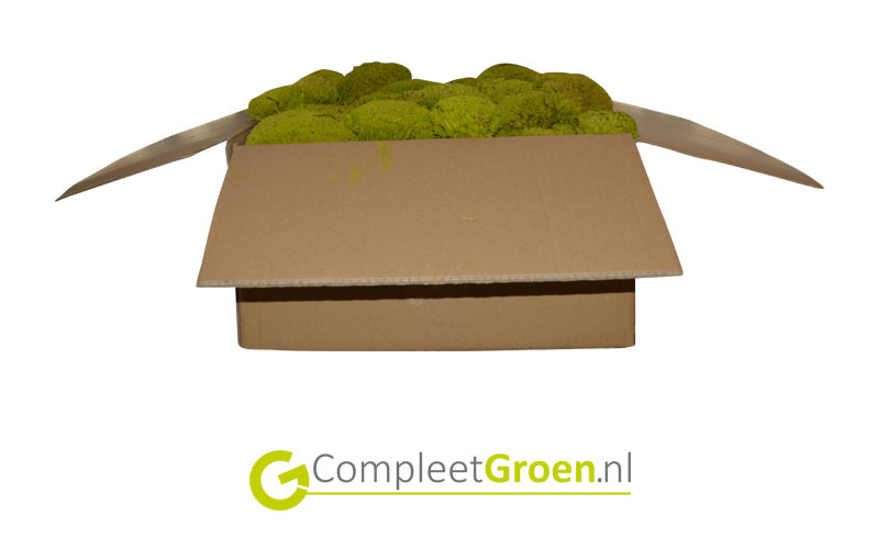Bolmos spring groen 0,75m2