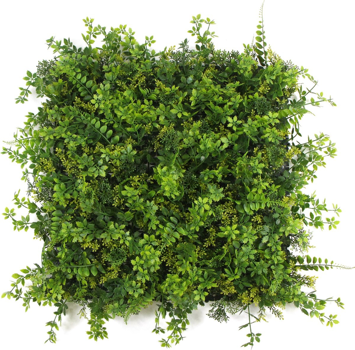 Kunstplantenwand FOLY Bali 1m2 afbeelding