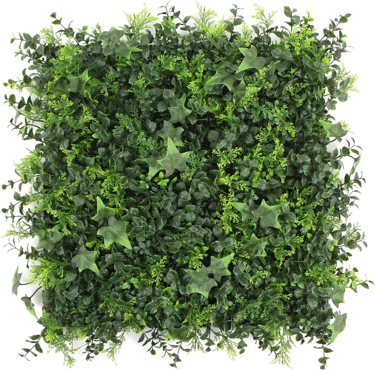 Kunstplantenwand FOLY Antigua 1m2 afbeelding