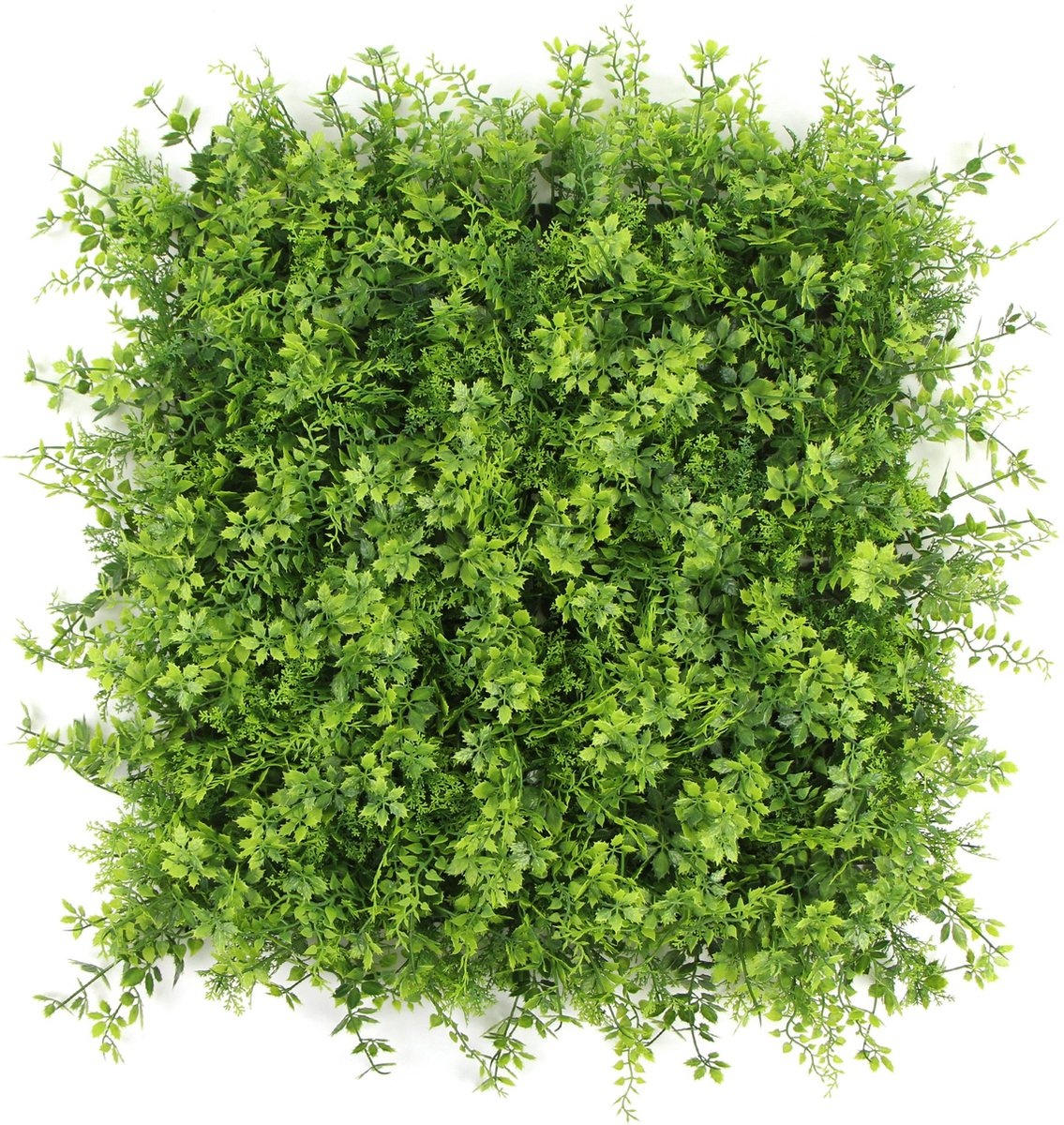 Kunstplantenwand FOLY Fiji 1 m2 Brandvertragend afbeelding