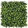 Kunstplantenwand FOLY Bay Laurel 1 m2