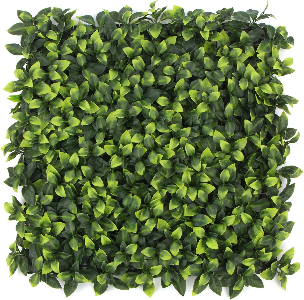 Kunstplantenwand FOLY Bay Laurel 1 m2 afbeelding