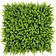 Kunstplantenwand FOLY Spring Buxus 1 m2